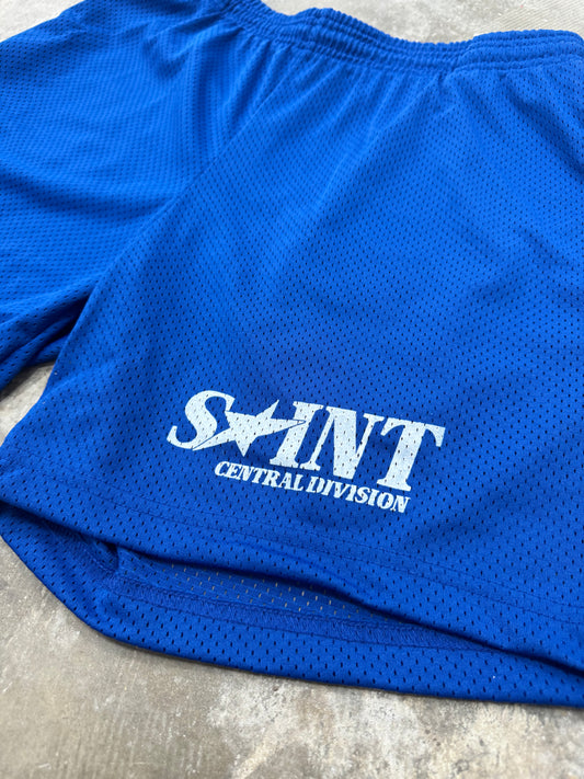 Blue “Central  Division” Mesh Shorts