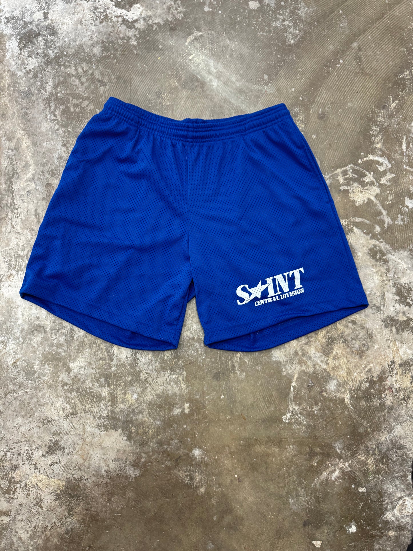 Blue “Central  Division” Mesh Shorts